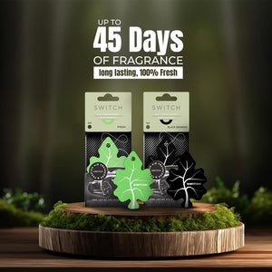 SWITCH Car Air Freshener | Fresh, Black Diamond | (Pack of 2)