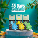SWITCH Car Air Freshener | Cool Water, Fresh, Citrus Fragrance | (Pack of 3)