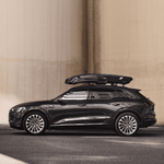 Thule Vector