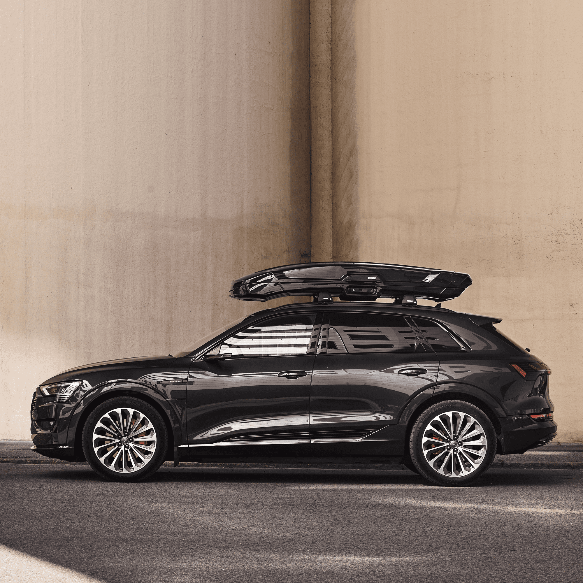 Thule Vector